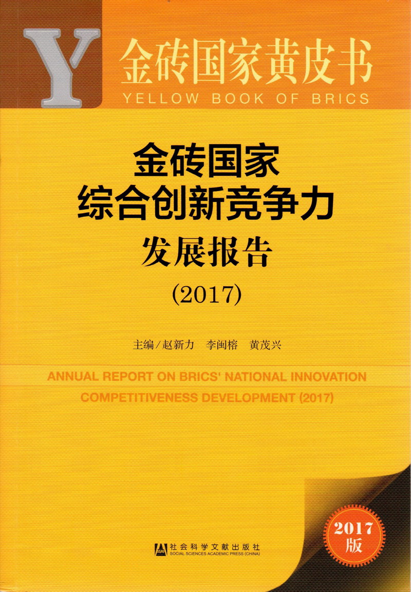 大鸡巴用力抽插粉嫩无毛嫩逼视频金砖国家综合创新竞争力发展报告（2017）